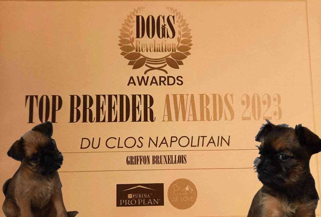 du Clos Napolitain - Meilleur élevage de Griffon Bruxellois 2023