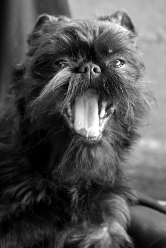 Une jolie fleur du Clos Napolitain