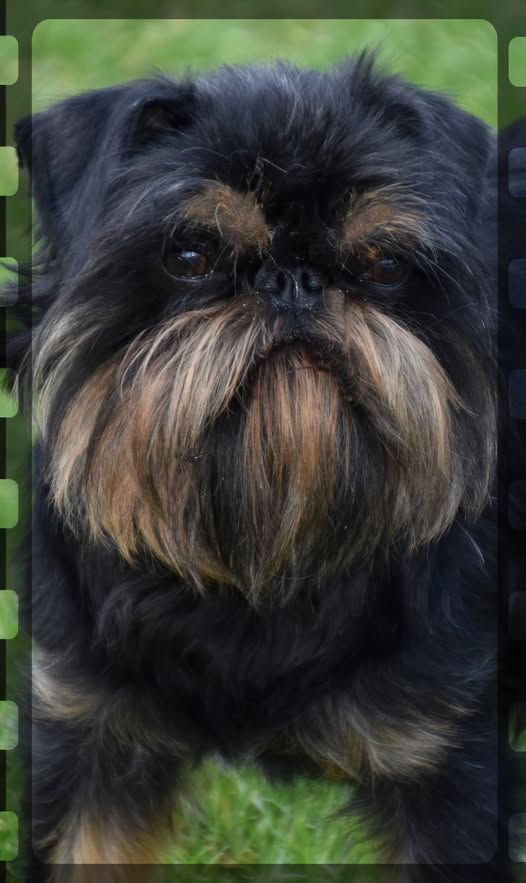 Umaga du repère aux étoiles