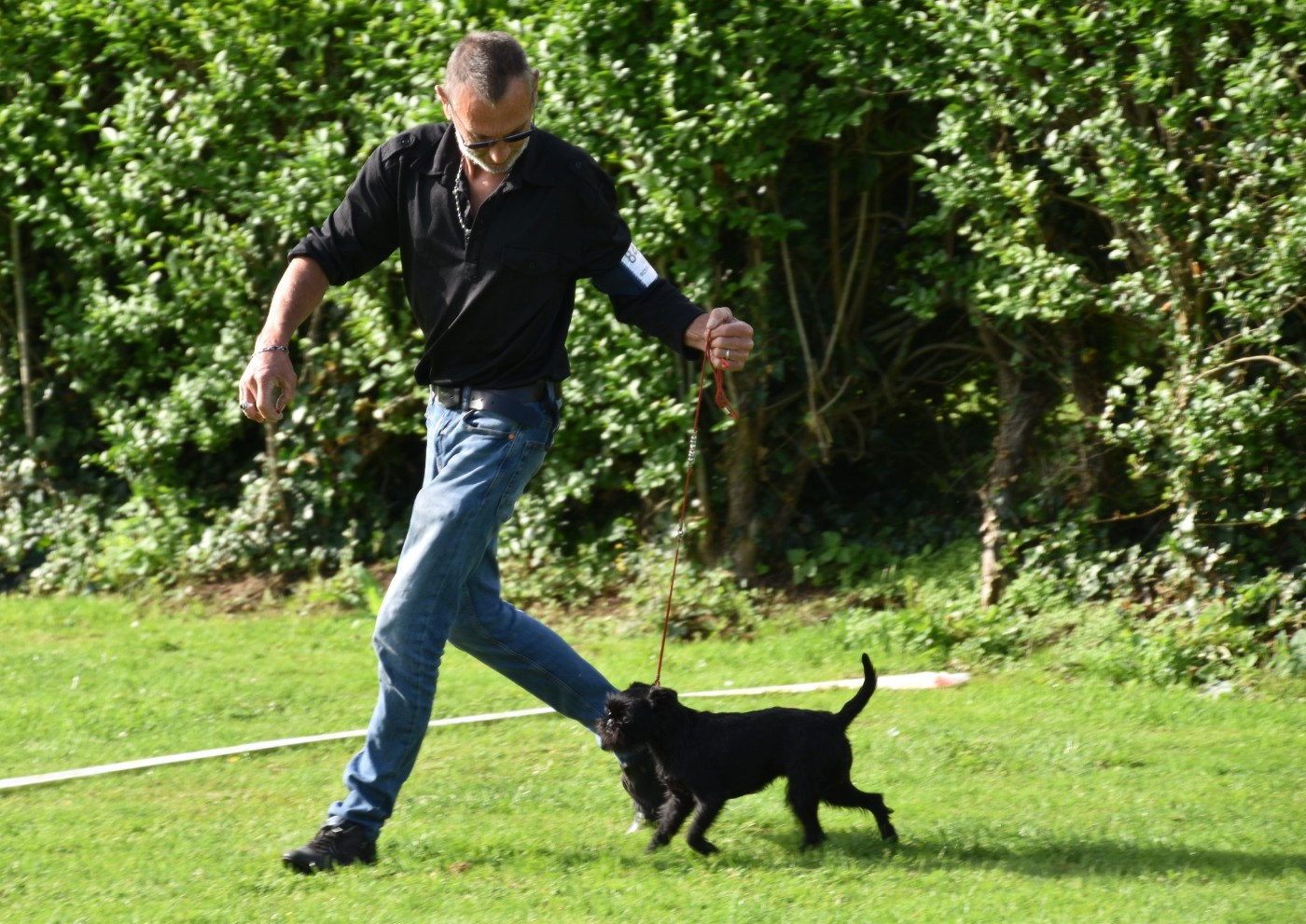 Tee-Trea  du Clos Napolitain