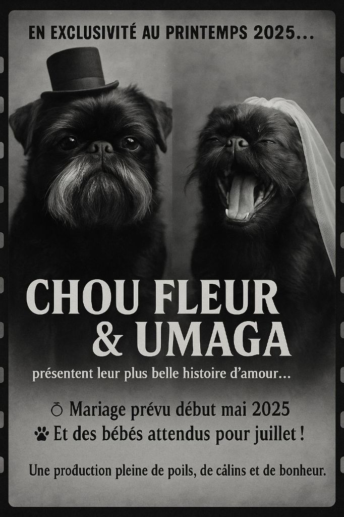 du Clos Napolitain - Premier mariage de nos petits derniers